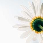 Hilda Schaden Profile Picture